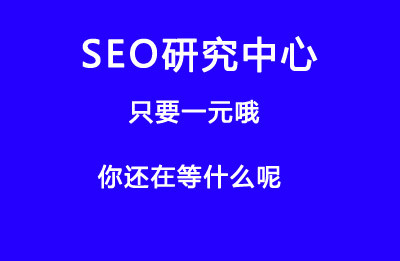 seo整站优化公司苏州蜂窝网络技术有限公司怎么样