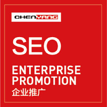长沙seo搜索引擎长沙网站搜索引擎优化排名公司谈论建立网站时需要注