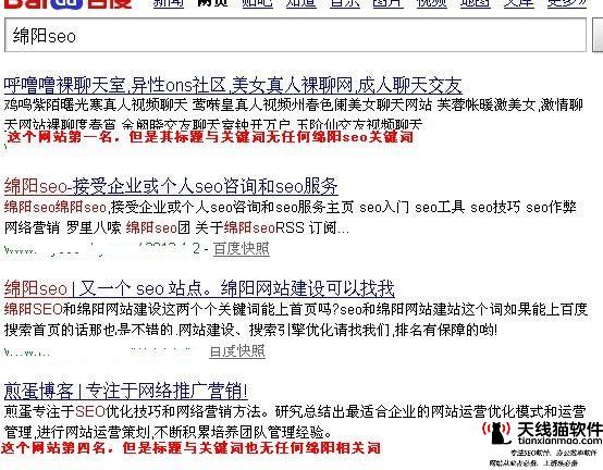 搜遇网络又名杭州站长网-专门做seo网站排名的公司